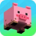 猪猪闯迷宫